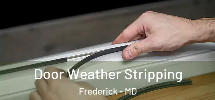 Door Weather Stripping Frederick - MD