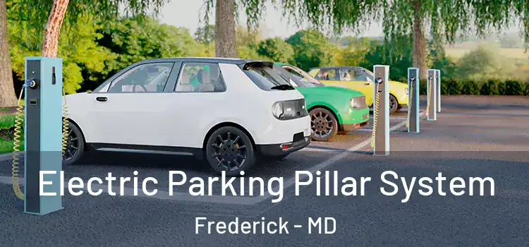 Electric Parking Pillar System Frederick - MD