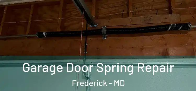  Garage Door Spring Repair Frederick - MD